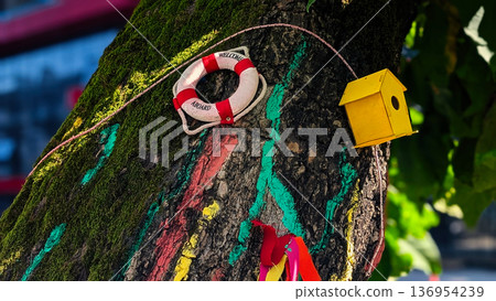 Colorful Birdhouse and Lifebuoy Decoration on Tree Trunk in Urban Park Colorful Birdhouse and Lifebuoy Decoration on Tree Trunk in Urban Park 136954239