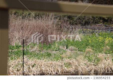 Country landscape Country landscape 136954255