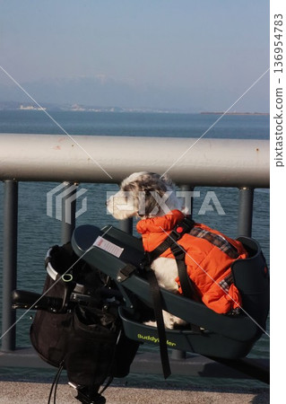 琵琶湖 琵琶湖 136954783