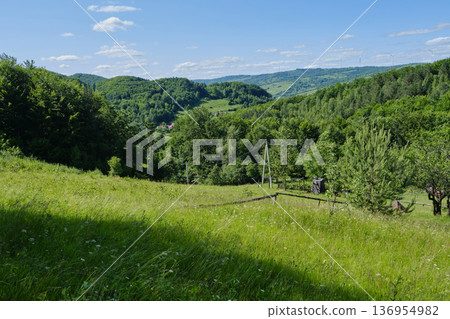 Rolling Green Hills in Carpathian Valley Rolling Green Hills in Carpathian Valley 136954982