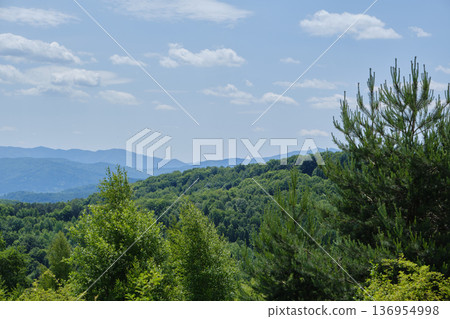 Panoramic Mountain Forest View Panoramic Mountain Forest View 136954998