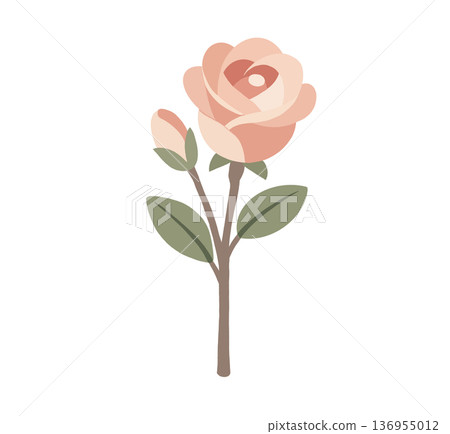 Pink rosebud illustration 136955012