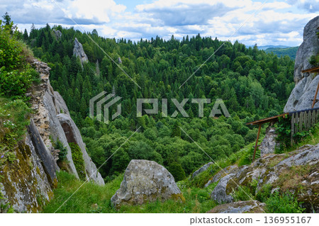 Panoramic Forest Valley from Cliff Edge Panoramic Forest Valley from Cliff Edge 136955167