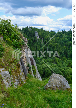 Panoramic Forest Valley from Cliff Edge Panoramic Forest Valley from Cliff Edge 136955168