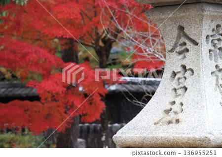今宮神社 今宮神社 136955251