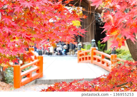 Imamiya Shrine Imamiya Shrine 136955253