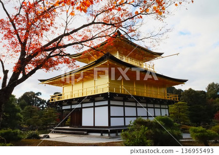 Kinkakuji秋葉 Kinkakuji秋葉 136955493