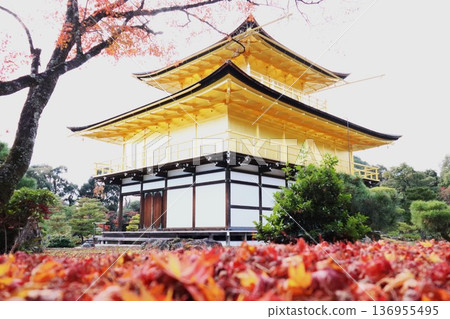 Kinkakuji秋葉 Kinkakuji秋葉 136955495