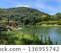 Pond and blue sky in a park on a sunny day 136955742