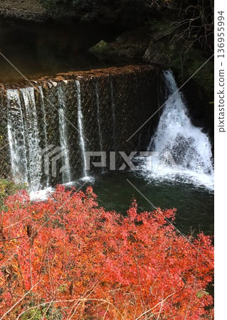 岩下落葉神社 岩下落葉神社 136955994
