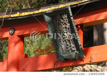 Iwato deciduous shrine 136955999