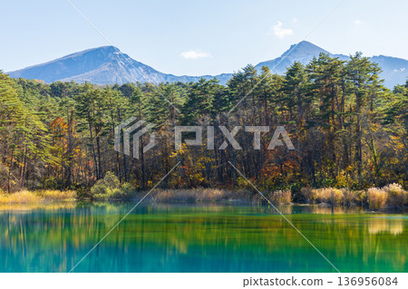 Autumn in Urabandai, Fukushima: Autumn foliage at the Goshikinuma Lakes, Ruri Pond, and Mount Bandai Autumn in Urabandai, Fukushima: Autumn foliage at the Goshikinuma Lakes, Ruri Pond, and Mount Bandai 136956084