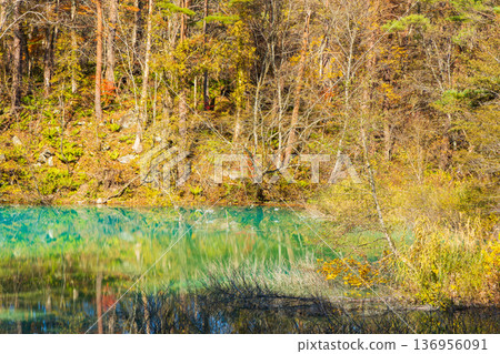 福島縣裡盤的秋天 - 五色沼湖和青沼的秋葉 福島縣裡盤的秋天 - 五色沼湖和青沼的秋葉 136956091