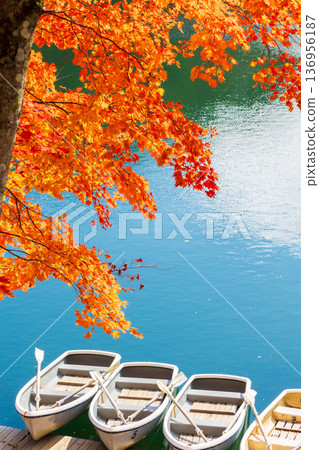 Autumn in Urabandai, Fukushima - Autumn foliage at Lake Bishamon Autumn in Urabandai, Fukushima - Autumn foliage at Lake Bishamon 136956187