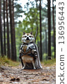 Cute Shiba Inu in Knight Armor Fantasy Character 136956443
