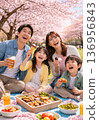 Family viewing cherry blossoms 136956843