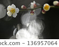 潔白閃亮的梅花 136957064