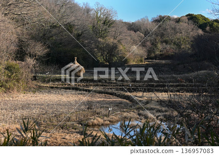 橫濱里山,冬天 橫濱里山,冬天 136957083