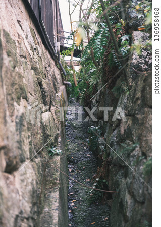 [Hachimanbori] Beautiful cherry blossoms in full bloom / An old-fashioned townscape that is often used as a filming location for period dramas 136958468