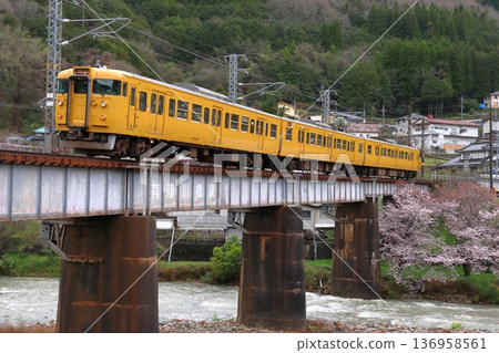 春白眉線115系列車 春白眉線115系列車 136958561