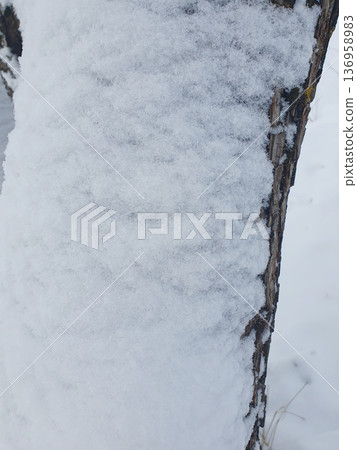 Close up of tree trunk covered with fresh snow, natural winter texture background. 136958983