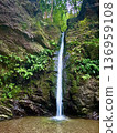 A waterfall surrounded by fresh greenery 136959108