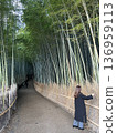 woman walking in bamboo forest 136959113