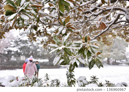 Children playing in the park in the snow Children playing in the park in the snow 136960967