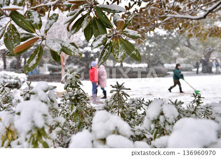 孩子們在公園的雪地裡玩耍 孩子們在公園的雪地裡玩耍 136960970