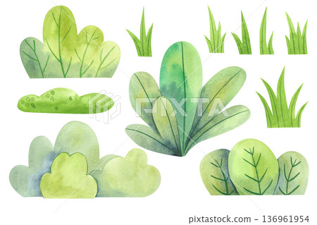 Set of watercolor green bushes and grass. Simple children's illustrations of a green lawn. 136961954
