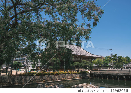 【四天王寺】代表大阪的古老寺廟,景色優美 【四天王寺】代表大阪的古老寺廟,景色優美 136962086
