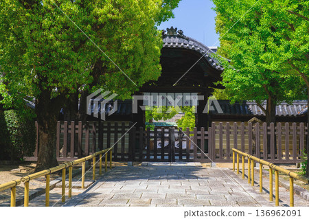 [Shitennoji Temple] Beautiful scenery of a historic temple that represents Osaka 136962091