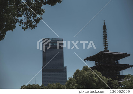 【四天王寺】代表大阪的古老寺廟，景色優美 136962099