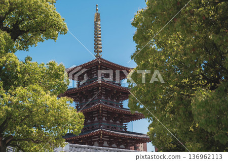 【四天王寺】代表大阪的古老寺廟，景色優美 136962113