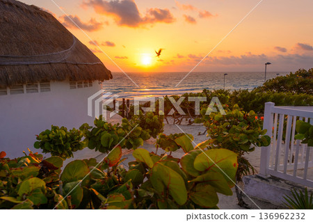 Tropical sunrise viewed from beach cabana with lush plants 136962232