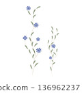 Two elegant watercolor botanical illustrations display delicate blue flowers blooming on slender green stems. 136962237