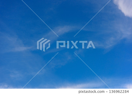 Two birds flying together in blue sky above cancun mexico Two birds flying together in blue sky above cancun mexico 136962284