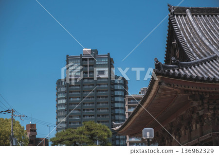 [Shitennoji Temple] Beautiful scenery of a historic temple that represents Osaka / Osaka cityscape 136962329