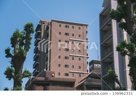 【四天王寺】代表大阪的古老寺廟的美麗景色/大阪城市景觀 136962331