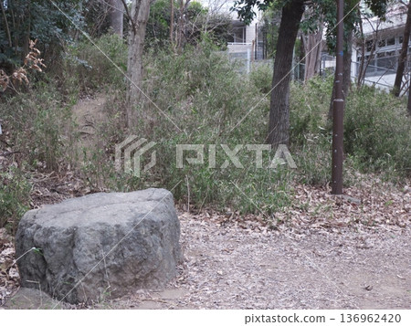 公園廣場上放置著一塊大型風景石,周圍環繞著樹木。 公園廣場上放置著一塊大型風景石,周圍環繞著樹木。 136962420