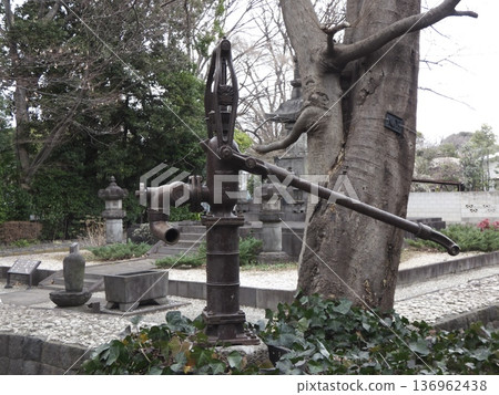 An old iron hand pump and stone lantern installed in the temple grounds An old iron hand pump and stone lantern installed in the temple grounds 136962438