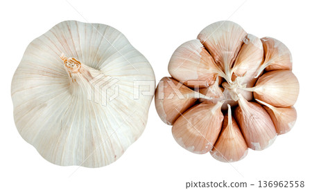 Top view of two garlic bulbs isolated on white. One whole head with papery skin and one opened to reveal individual cloves in a radial pattern. Fresh organic ingredient for culinary use. Top view of two garlic bulbs isolated on white. One whole head with papery skin and one opened to reveal individual cloves in a radial pattern. Fresh organic ingredient for culinary use. 136962558
