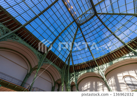 Grand Palais, canopy dome, Paris, France 136962832