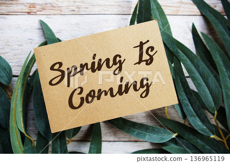 Spring Is Coming text written on paper card flat lay on wooden background Spring Is Coming text written on paper card flat lay on wooden background 136965119