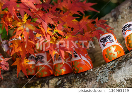 autumn time near osaka in japan autumn time near osaka in japan 136965159
