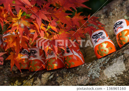 autumn time near osaka in japan autumn time near osaka in japan 136965160