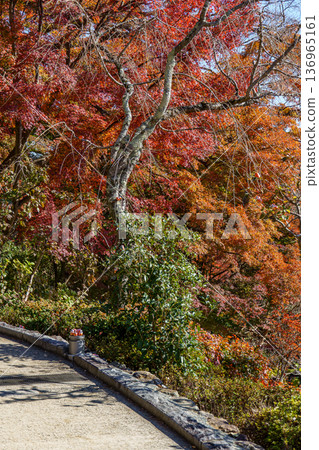 autumn time near  osaka in japan 136965161