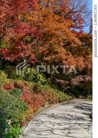autumn time near osaka in japan autumn time near osaka in japan 136965165