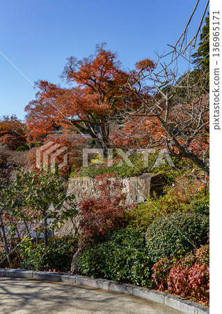 autumn time near osaka in japan autumn time near osaka in japan 136965171