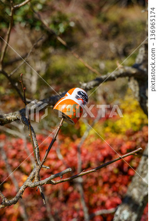 autumn time near osaka in japan autumn time near osaka in japan 136965174